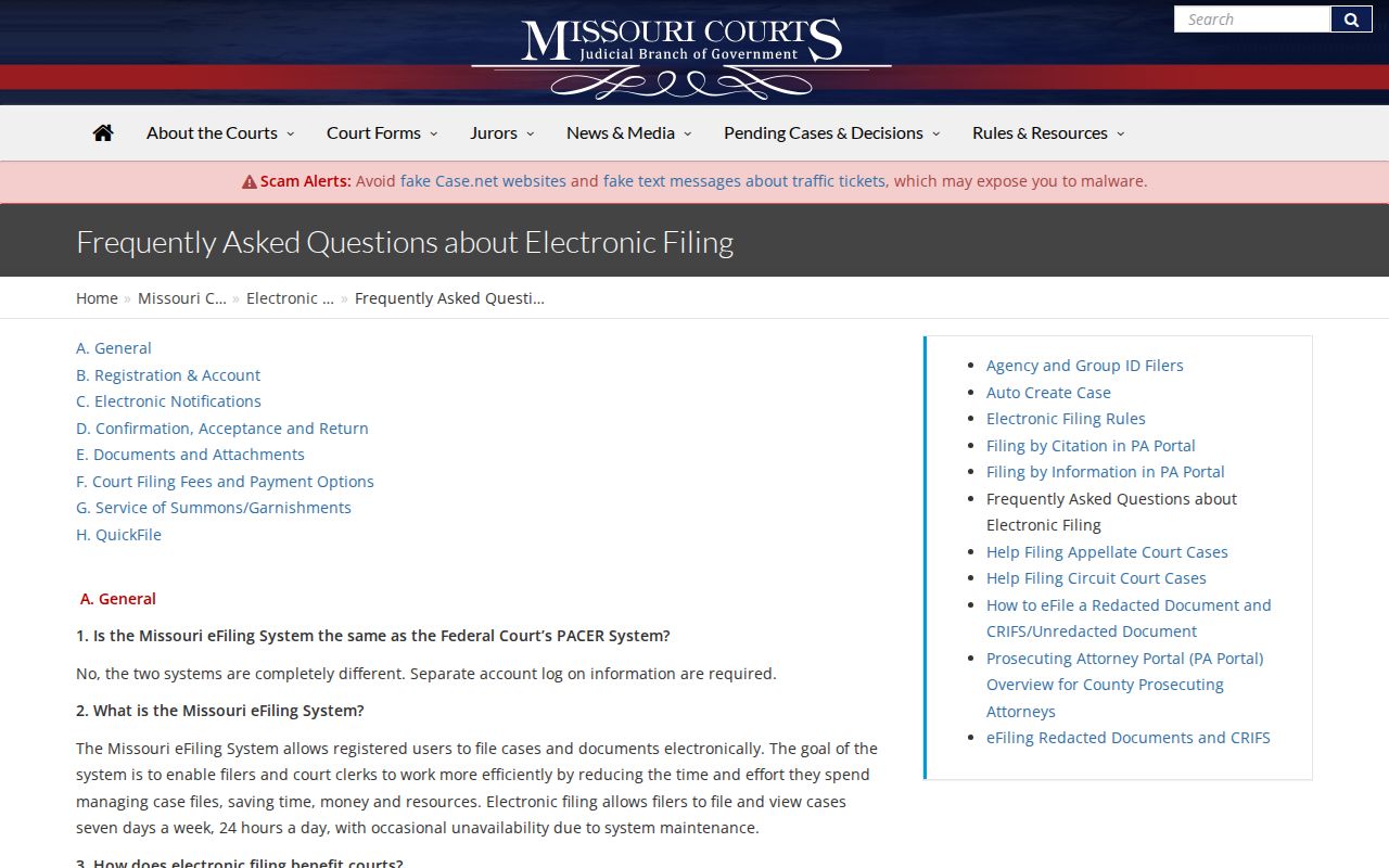 Texas County docket search source explaining Missouri eFiling document access