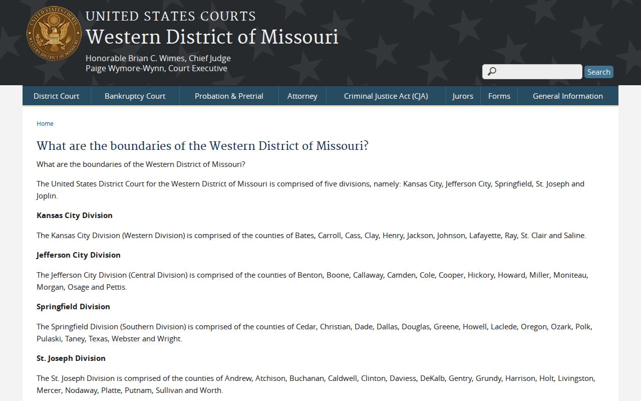 Texas County court case records source for Western District jurisdiction